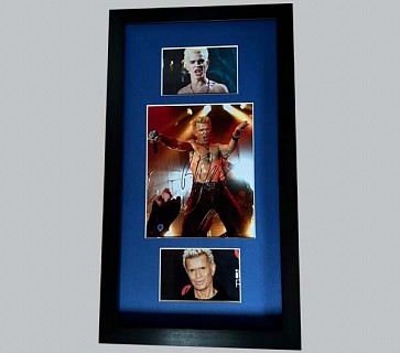 Billy Idol Signed Concert Photo + 2 Photos