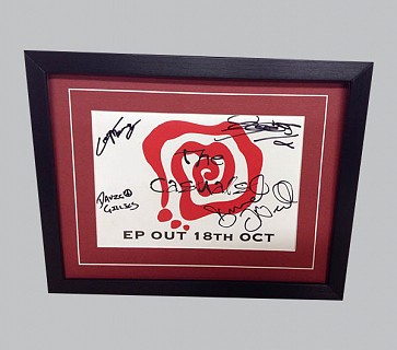 The Casuals Signed Colour Poster