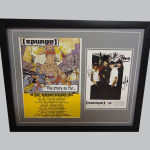 Spunge Signed Music Memorabilia Display